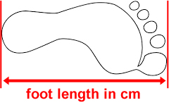 Measure foot length from heel to longest toe.